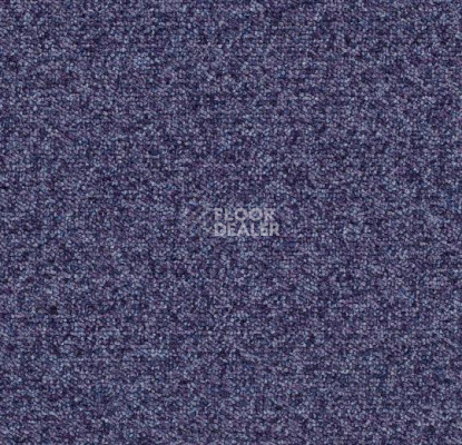 Ковровая плитка Forbo Tessera Basis 380 Blackcurrant фото 1 | FLOORDEALER